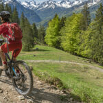 Non sottovalutare la testa come scegliere il casco perfetto tra strada e downhill